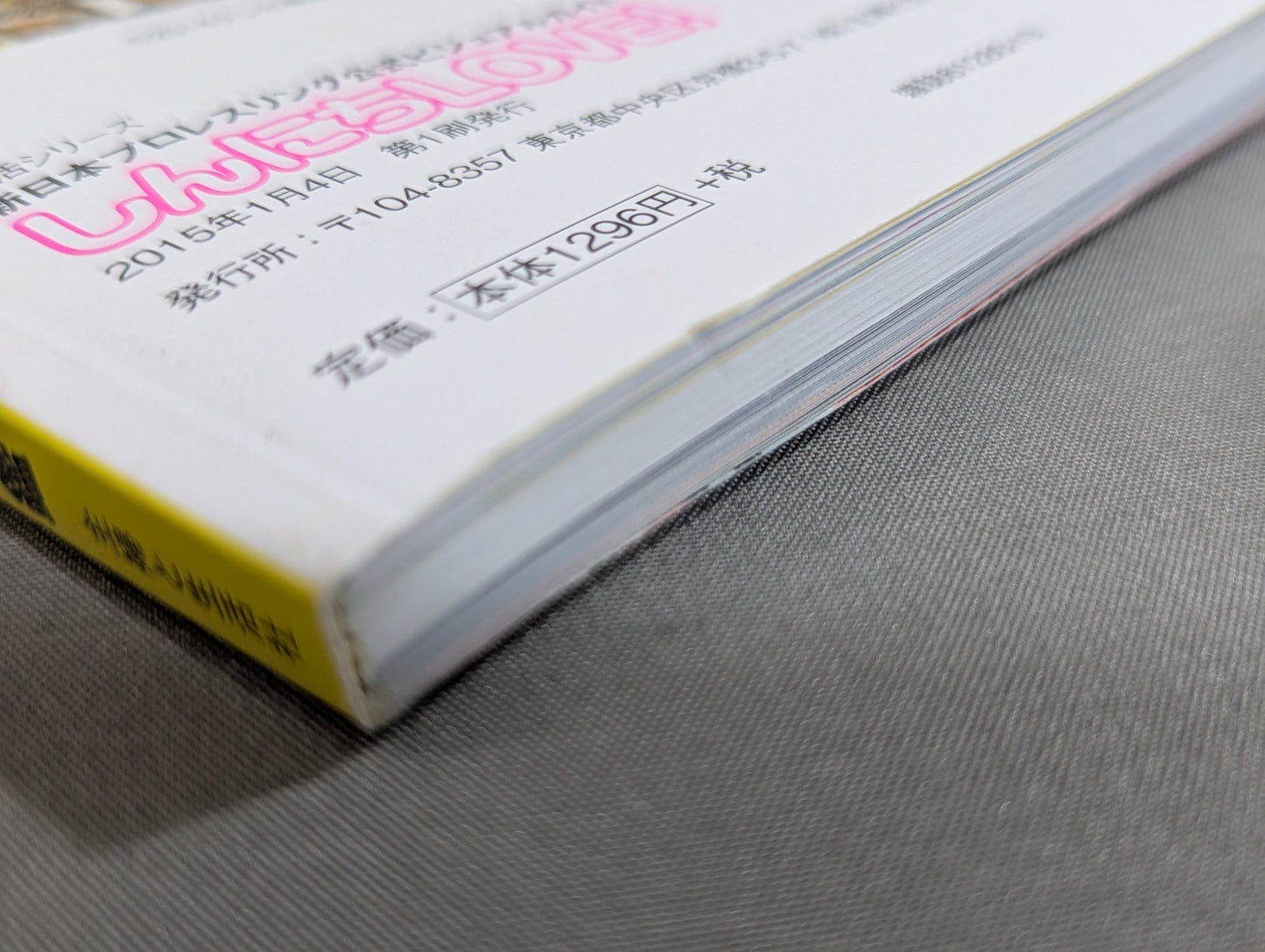New Japan Pro Wrestling Pro-wrestling  Official Visual Guide Shinnichi LOVE!
