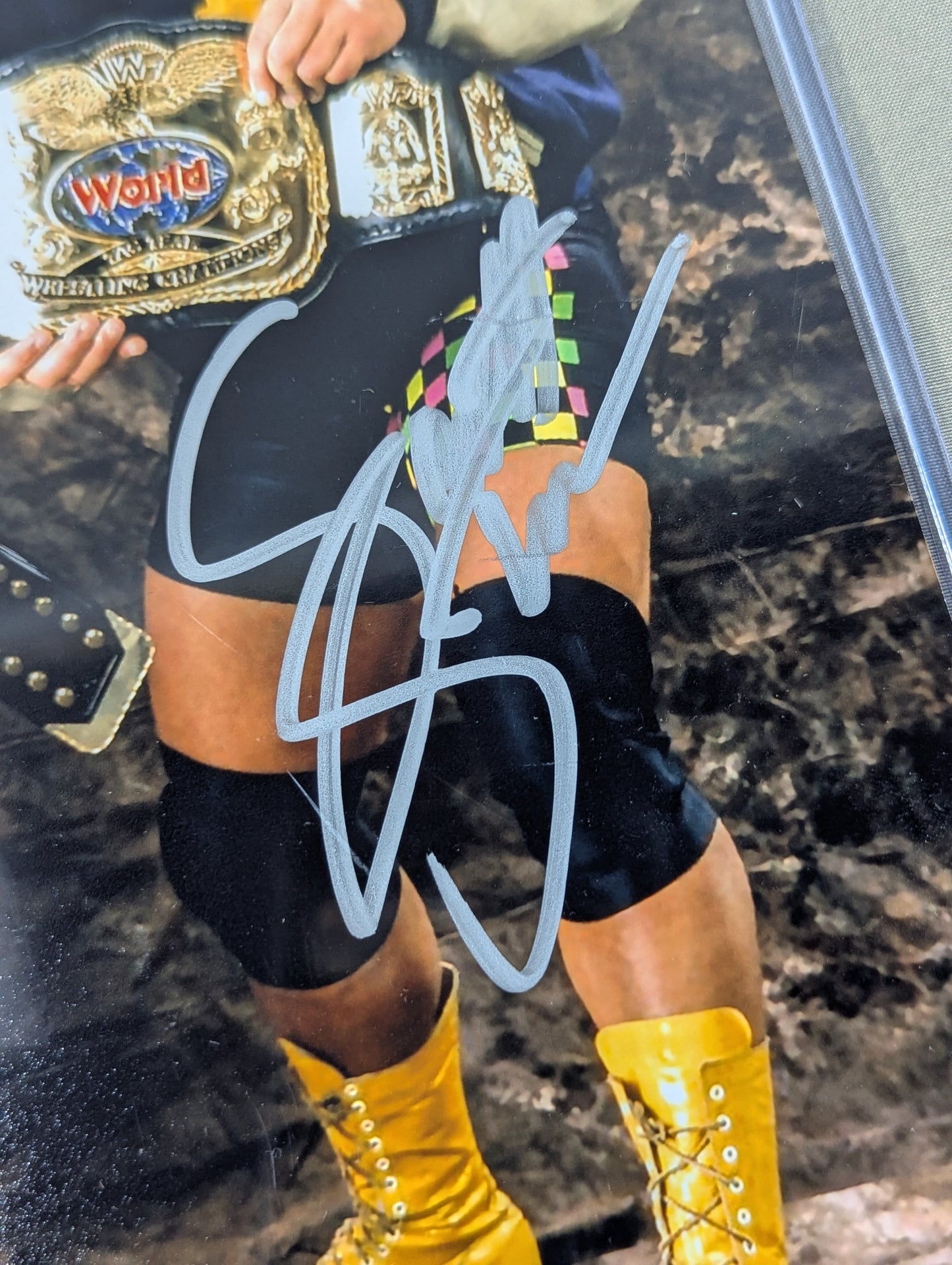 ★High Spots★ Steiner Brothers hand signed autograph Pro-Photo (Giant Baba )