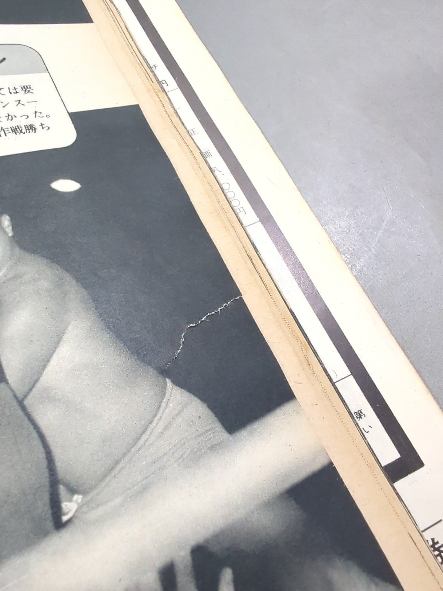 プロレス&ボクシング 1969年6月号増刊