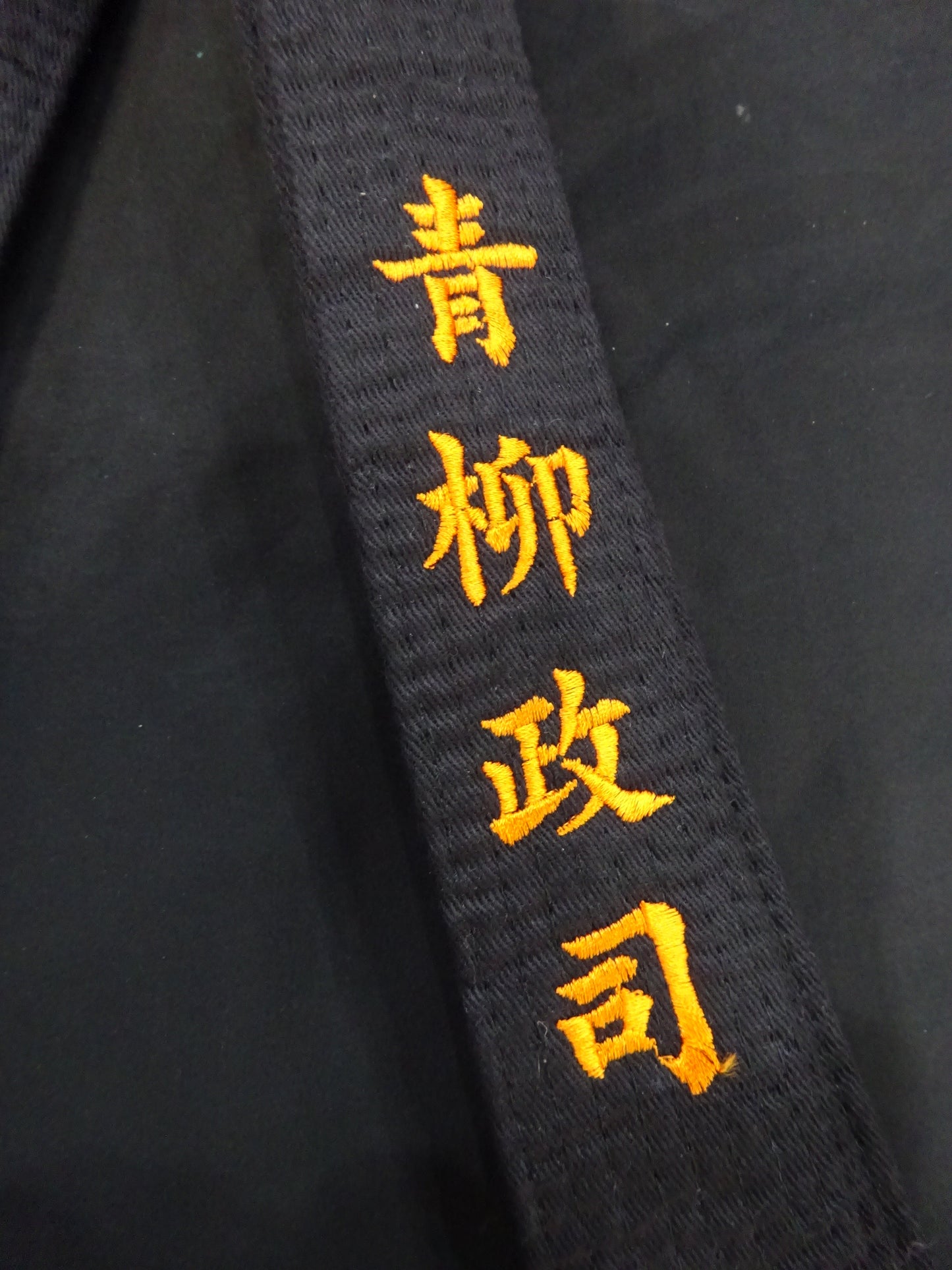 Aoyagi ★ Heisei Ishingun vs Michinoku Pro Wrestling  Competition worn by him !! ★