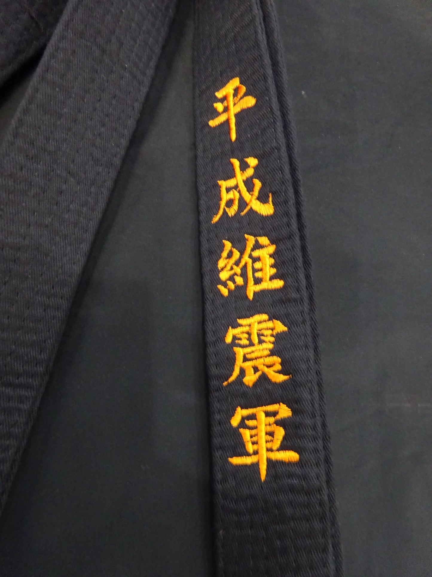 Aoyagi ★ Heisei Ishingun vs Michinoku Pro Wrestling  Competition worn by him !! ★