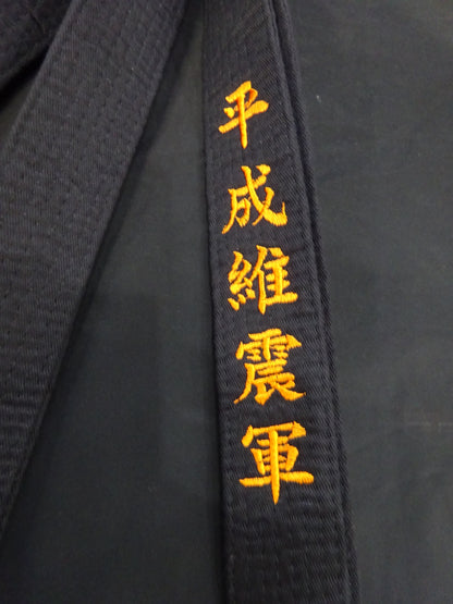 Aoyagi ★ Heisei Ishingun vs Michinoku Pro Wrestling  Competition worn by him !! ★