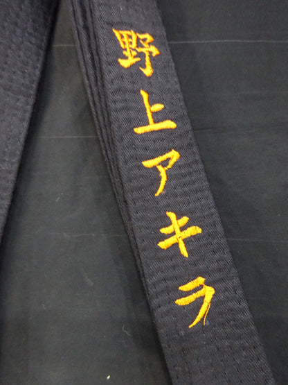AKIRA ★ Heisei Ishingun vs Michinoku Pro Wrestling  Competition worn by him !! ★
