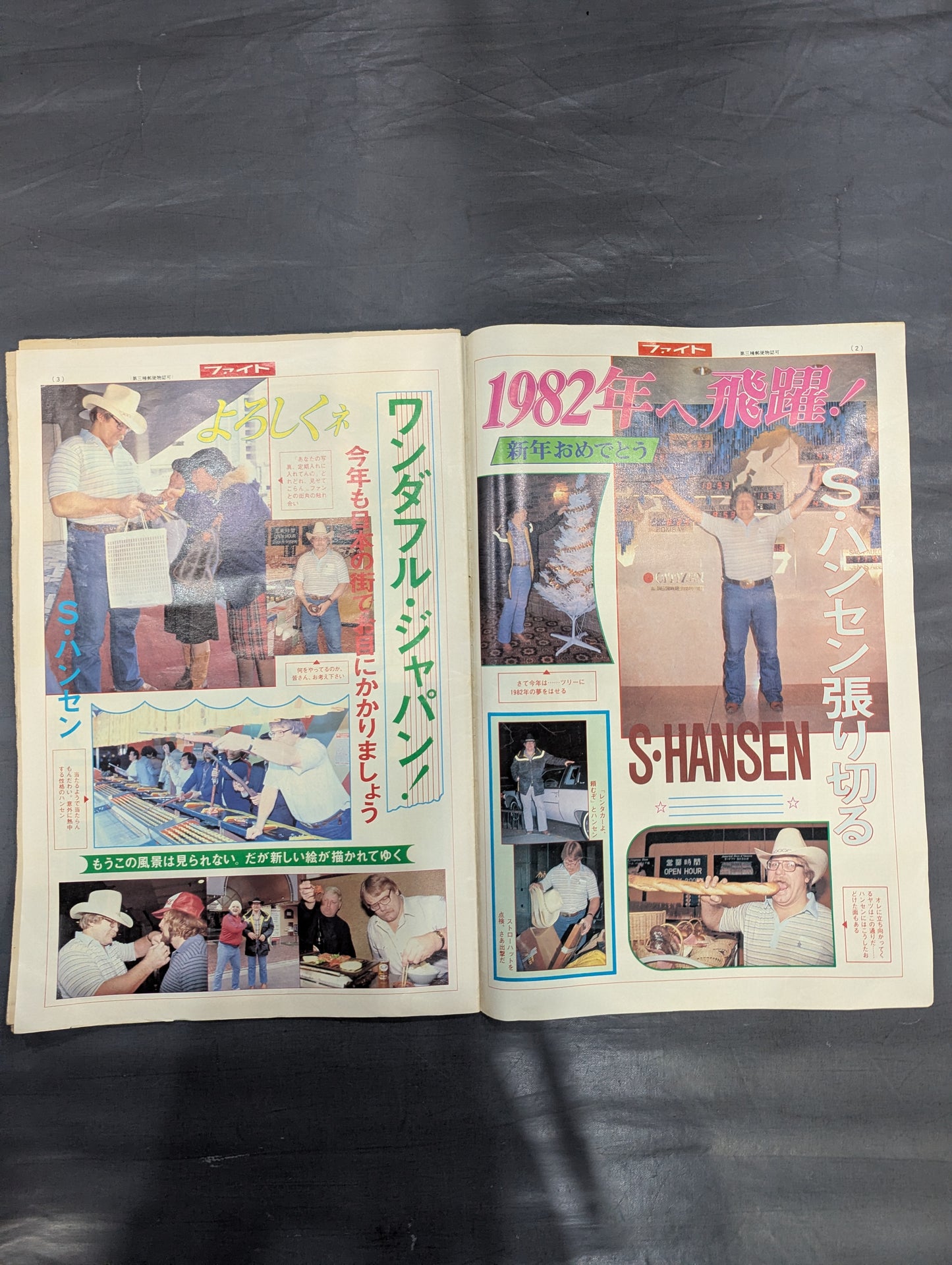 Weekly Fight 733 ★1 whole book Hansen & Terry★