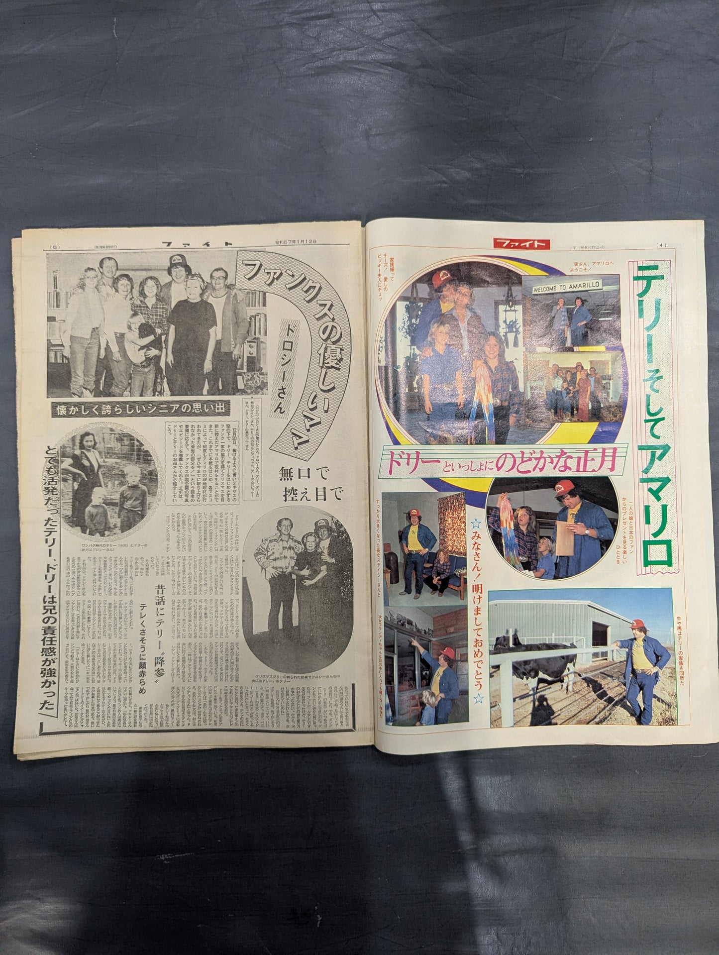 Weekly Fight 733 ★1 whole book Hansen & Terry★