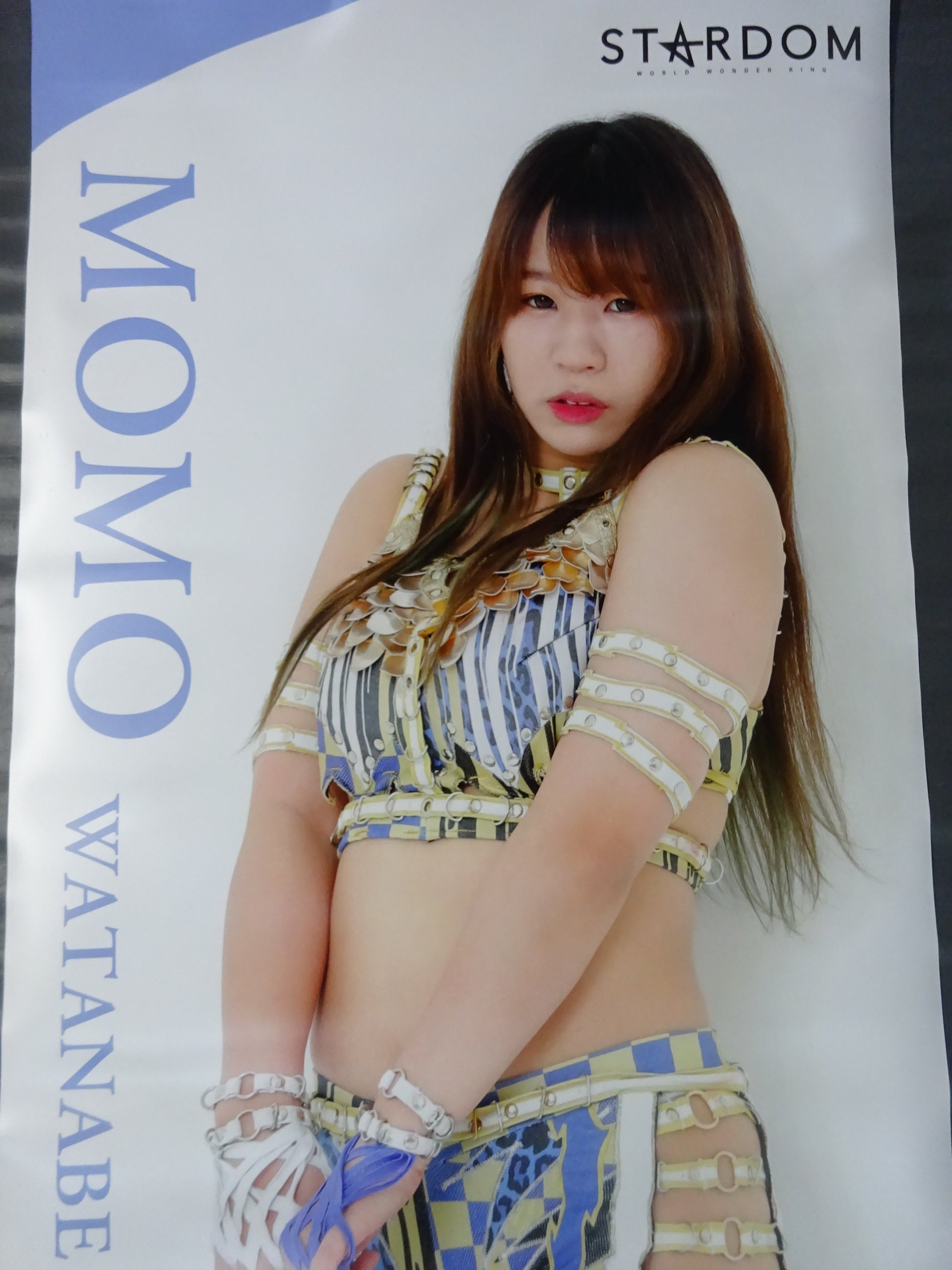 Momo Watanabe Life-Size Tapestry 2021 vol.2 – 闘道館