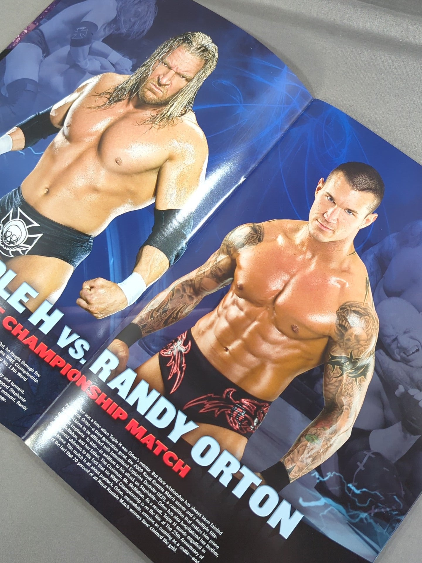 WRESTLEMANIA XXIV. / Wrestlemania 25
