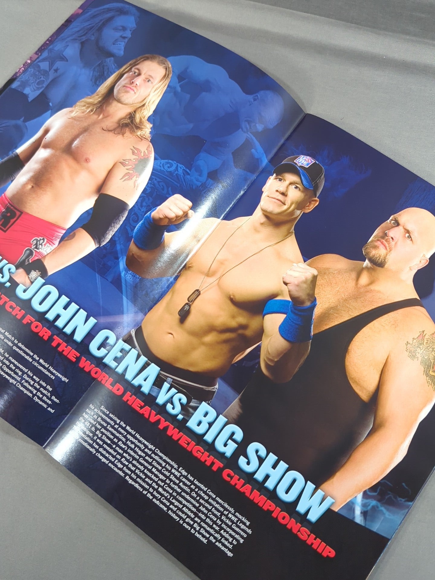WRESTLEMANIA XXIV. / Wrestlemania 25