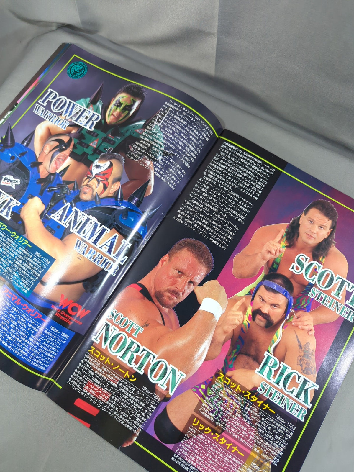 ★高田vs橋本、ムタvs白使★ BATTLE FORMATION ’96