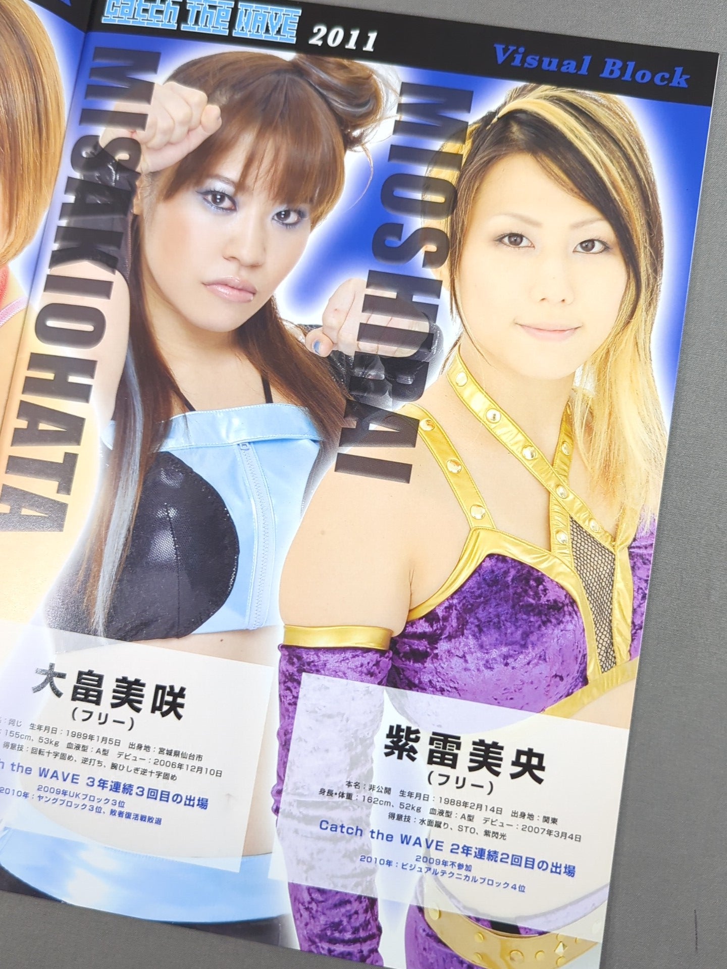 PROWRESSLING WAVE 2013波女決定リーグ戦 Amazon.co.jp: プロレスリングWAVE 2013波女決定リーグ戦 Catch The