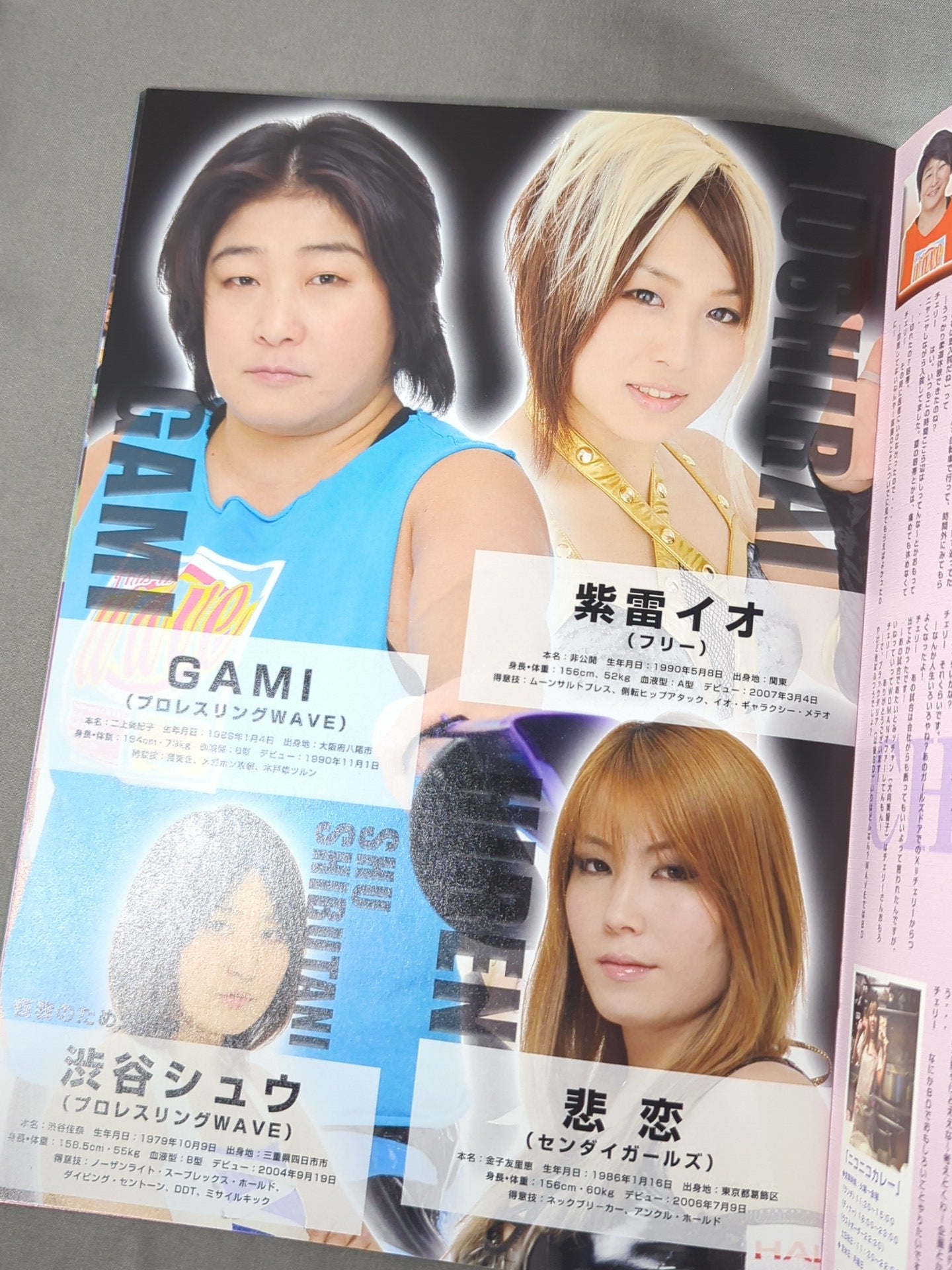 プロレスリングWAVE 公式パンフレット vol.43 – 闘道館