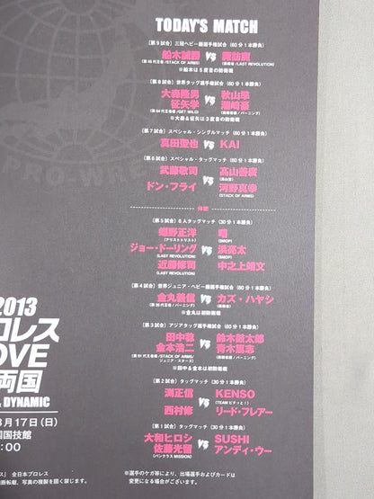 2013プロレスLOVE in 両国 BASIC＆DYNAMIC
