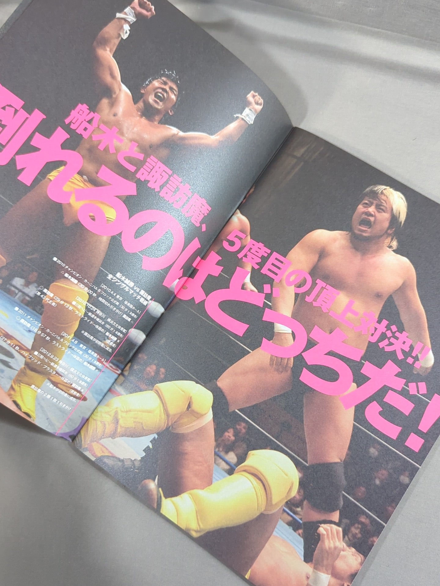 2013プロレスLOVE in 両国 BASIC＆DYNAMIC