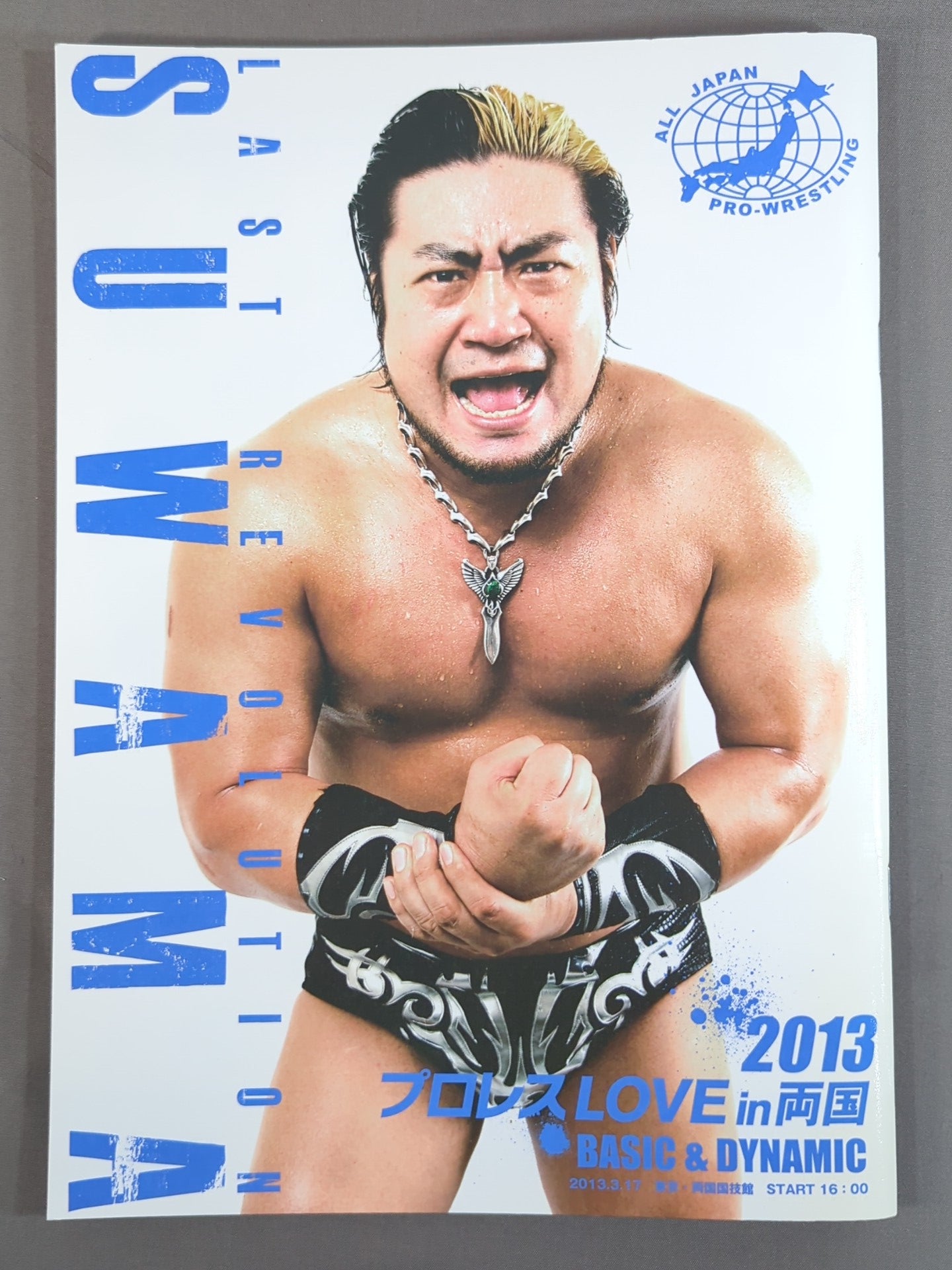 2013プロレスLOVE in 両国 BASIC＆DYNAMIC