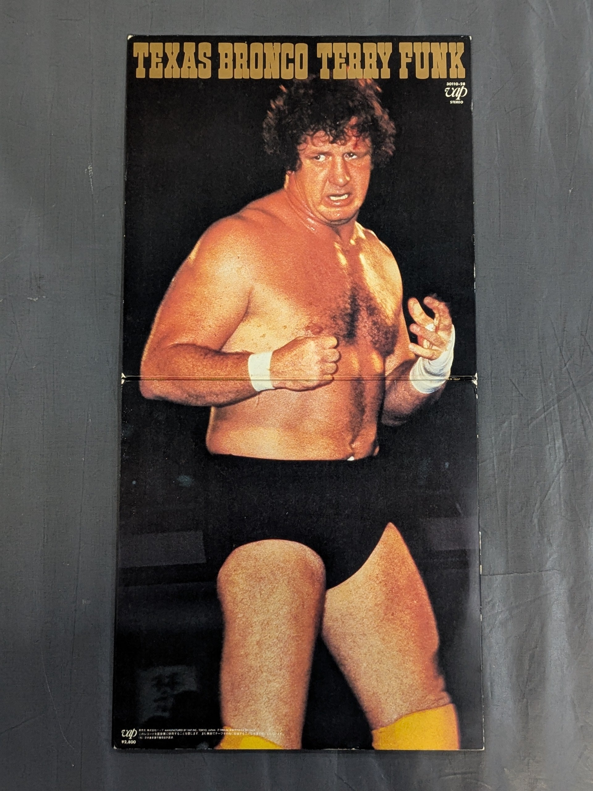 テキサス・ブロンコ/テリー・ファンク LP 帯 プロレス TEXAS BRONCO TERRY FUNK / テキサス・ブロンコ テリー・ファンク – 闘道館