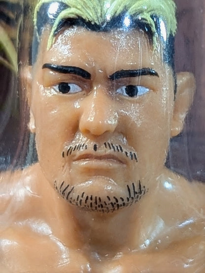 Takao Omori  (Fighting Pose)