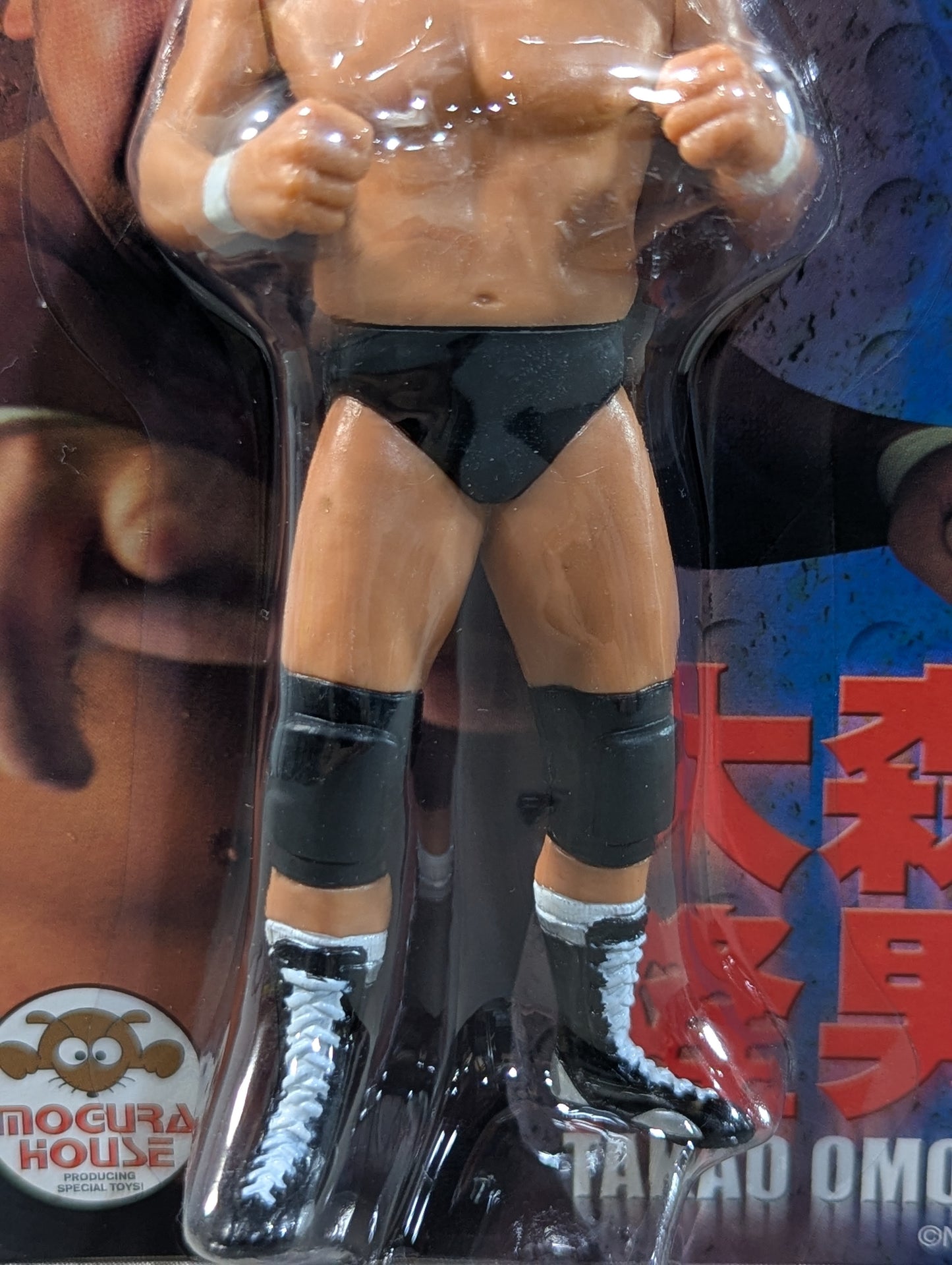 Takao Omori  (Fighting Pose)