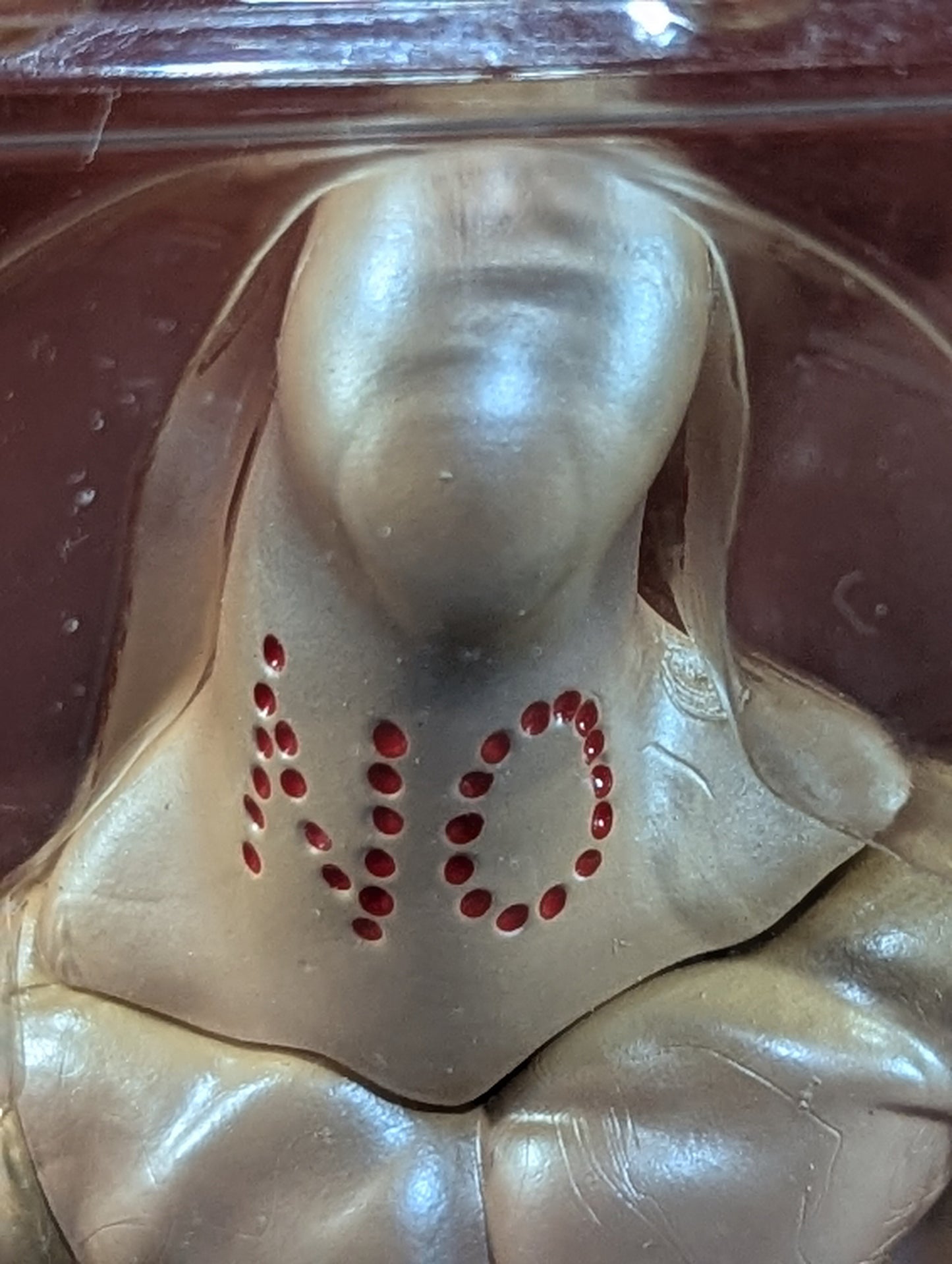 ミスター・ノー