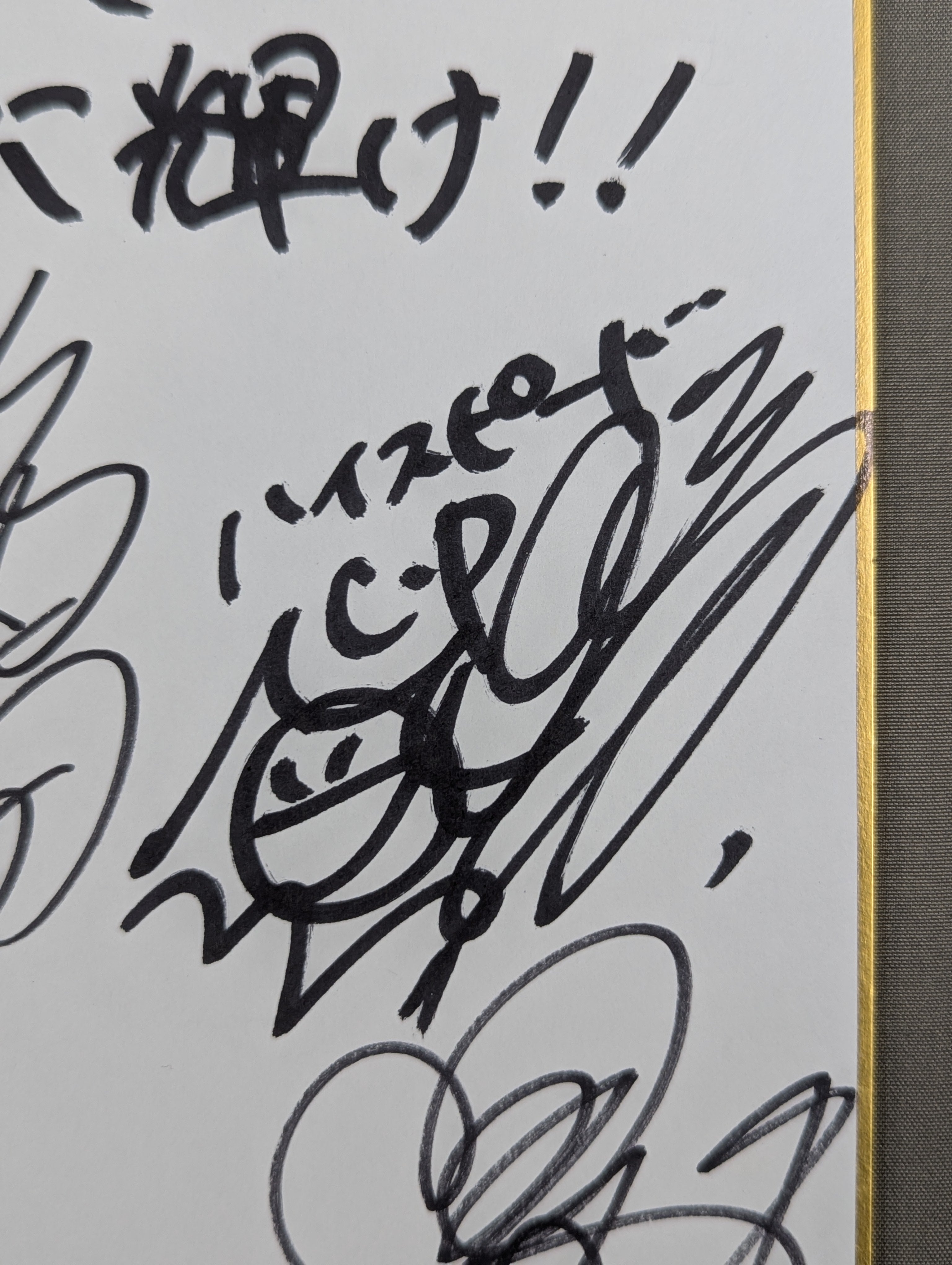 STARDOM 6選手寄せ書き(ブロマイド貼付) – 闘道館