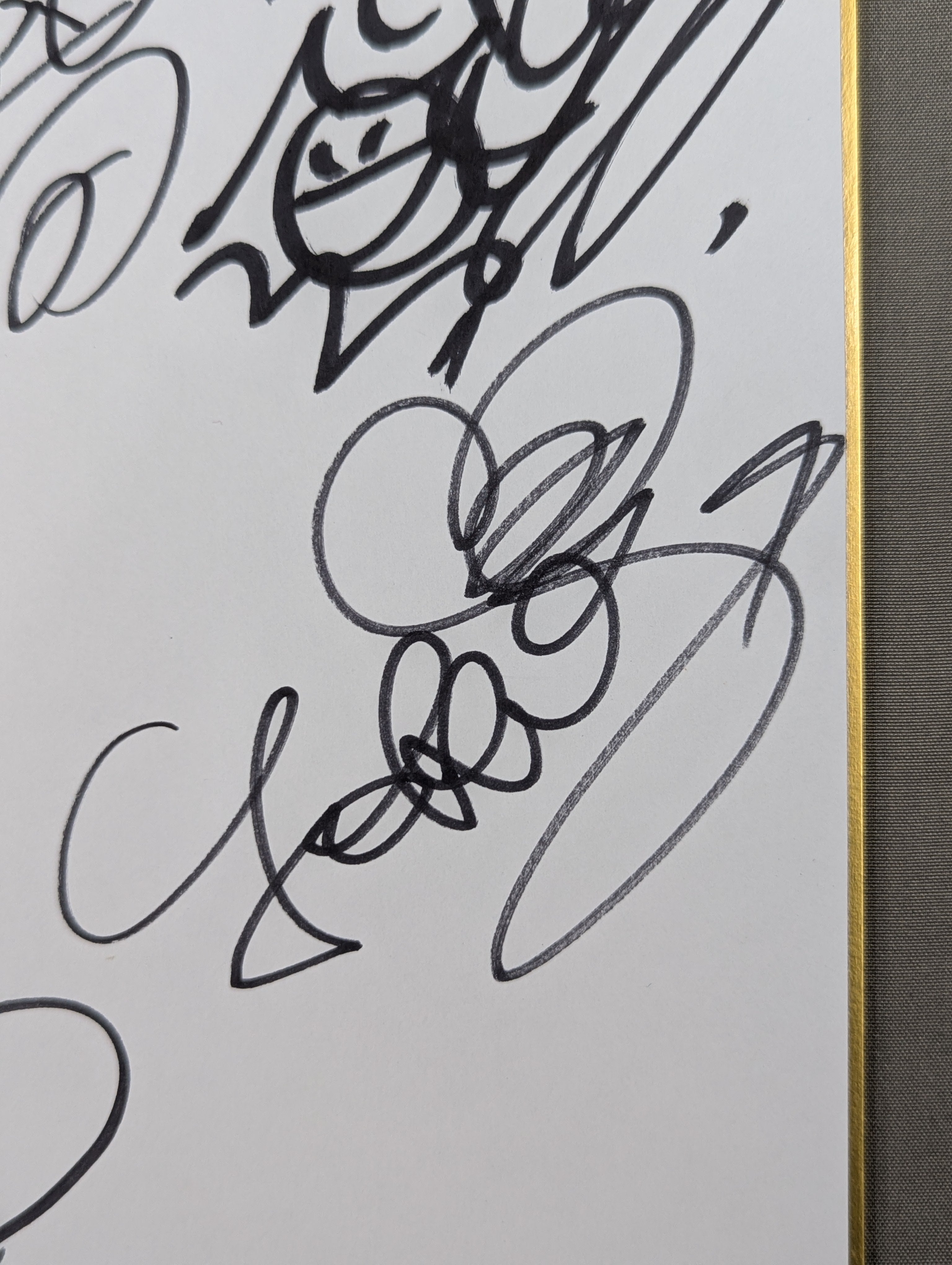 STARDOM 6選手寄せ書き(ブロマイド貼付) – 闘道館