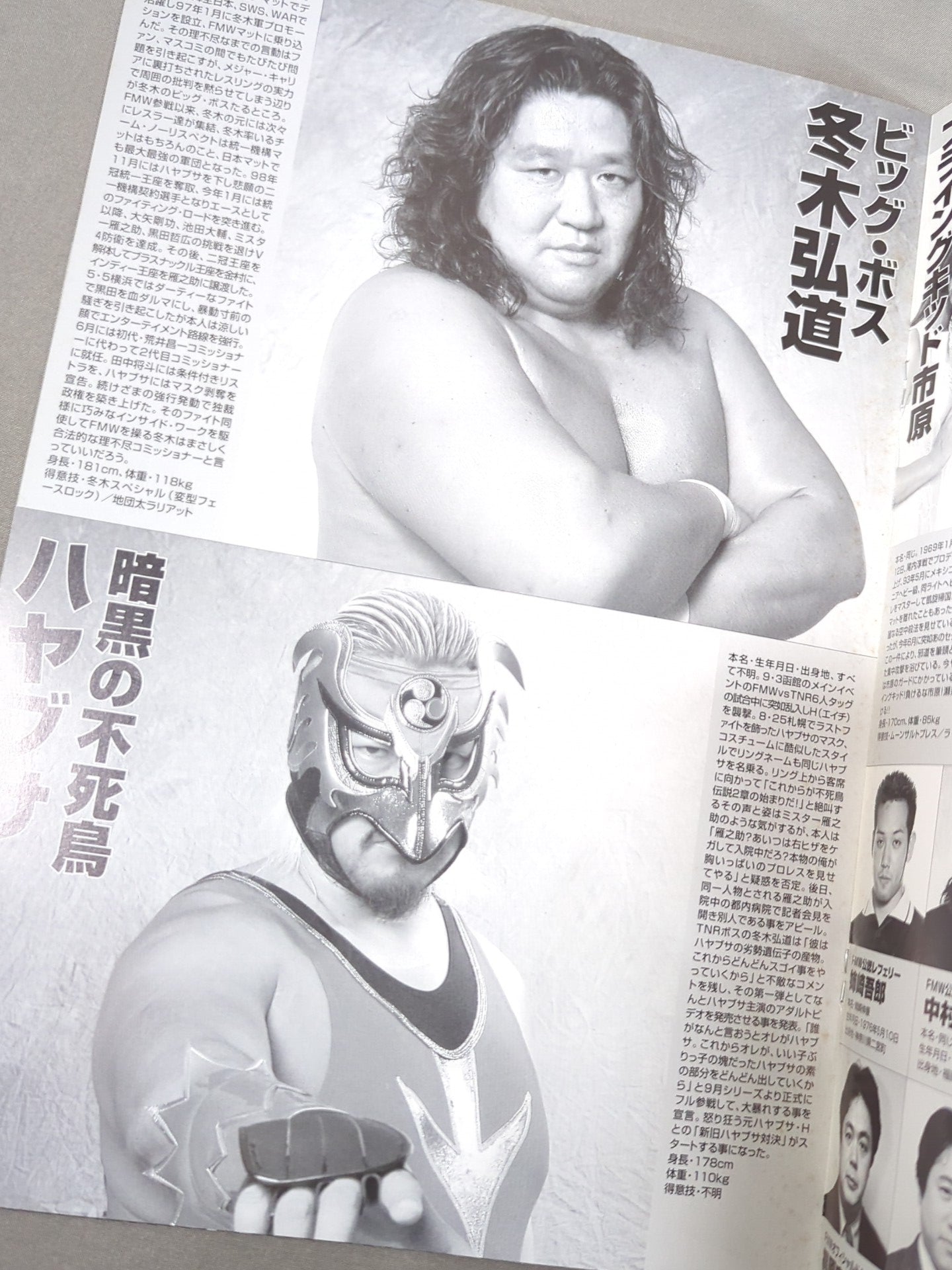 FMW / OFFICIAL GUIDE BOOK 1999 vol.3