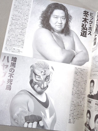 FMW / OFFICIAL GUIDE BOOK 1999 vol.3