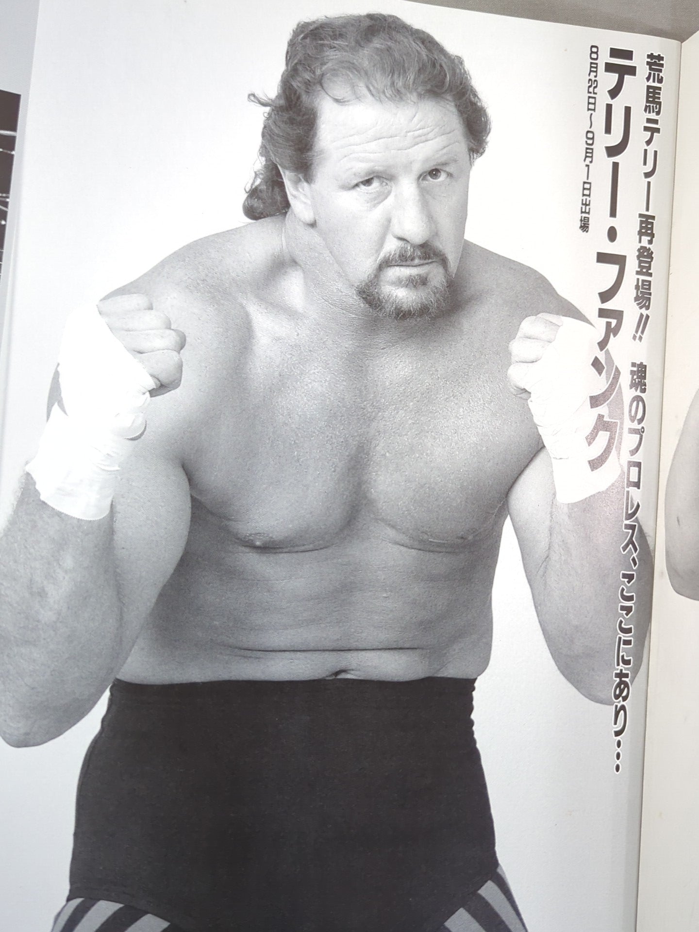 Attack FMW Summer Special 93
