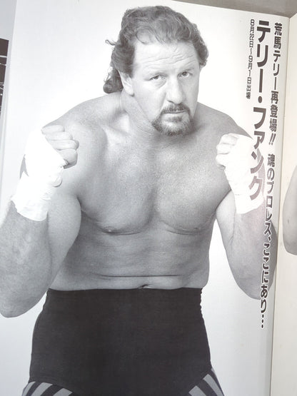 Attack FMW Summer Special 93
