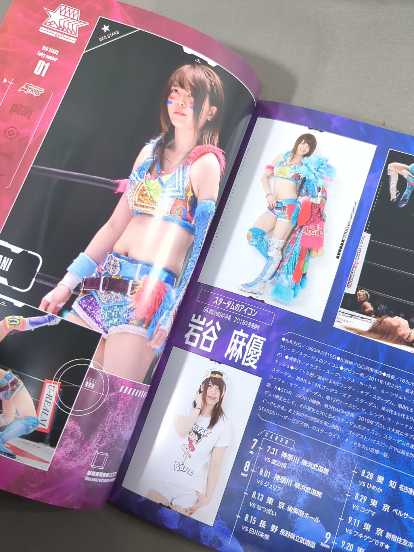 STARDOM OFFICIAL GUIDE BOOK Vol.137