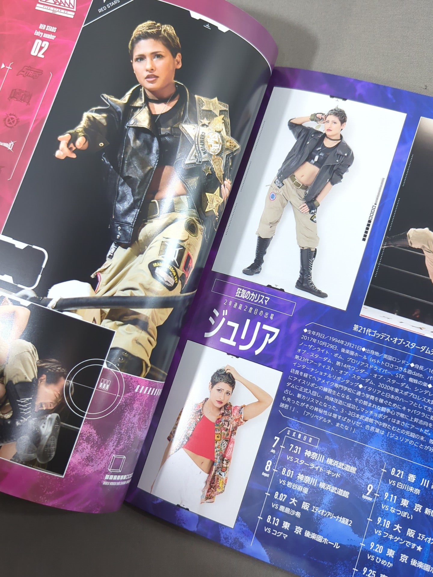 STARDOM OFFICIAL GUIDE BOOK Vol.137 – 闘道館