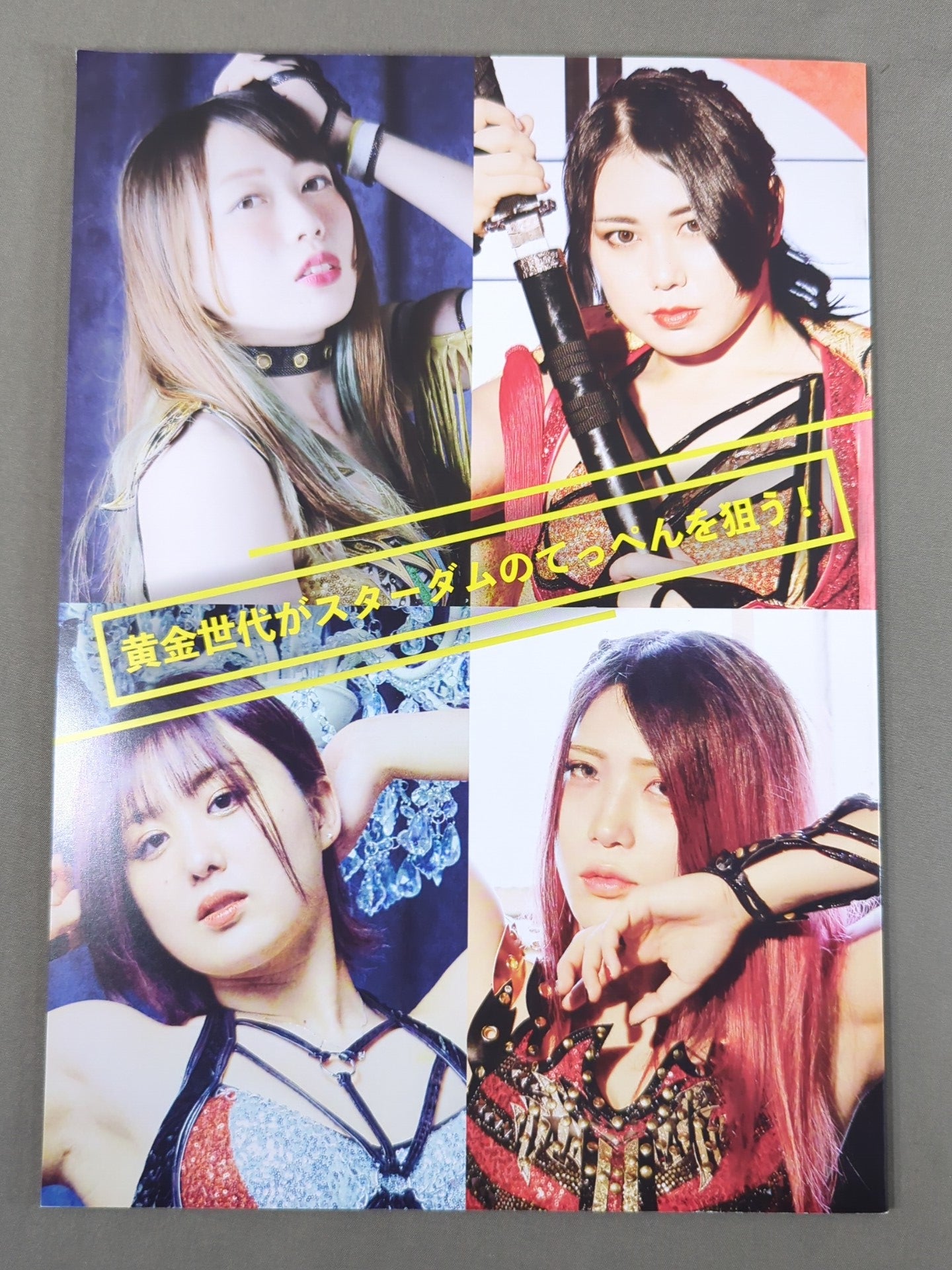 STARDOM OFFICIAL GUIDE BOOK Vol.137