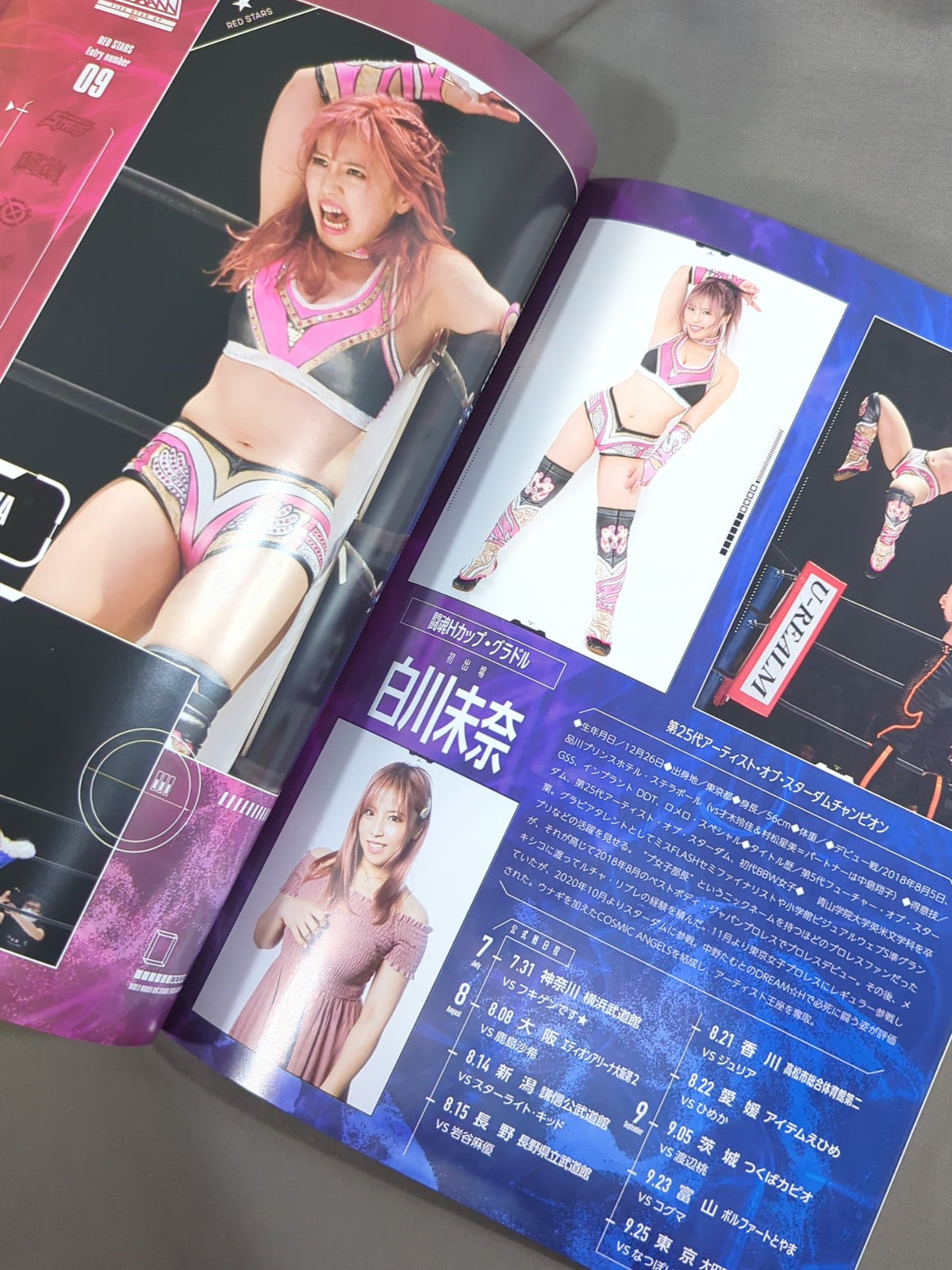 STARDOM OFFICIAL GUIDE BOOK Vol.137