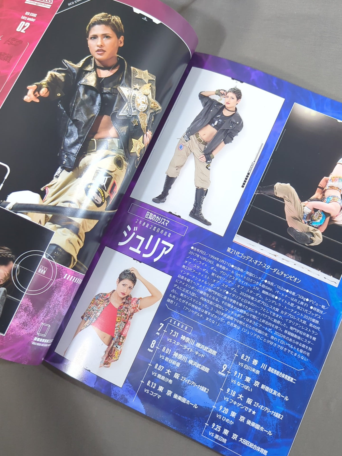 STARDOM OFFICIAL GUIDE BOOK Vol.137