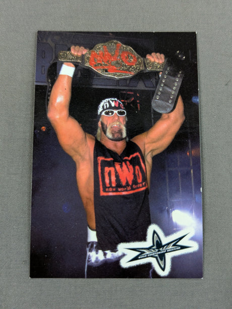 ハリウッド・ハルク・ホーガン ステッカー③