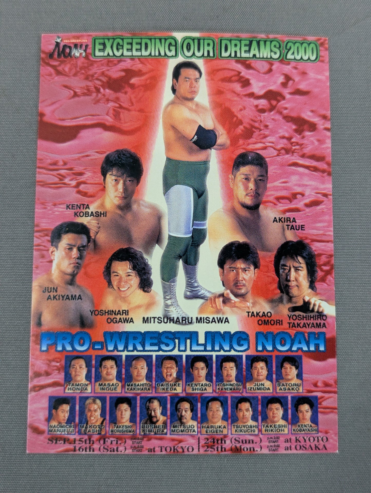 NOAH EXCEEDING OUR DREAMS 2000 Stickers