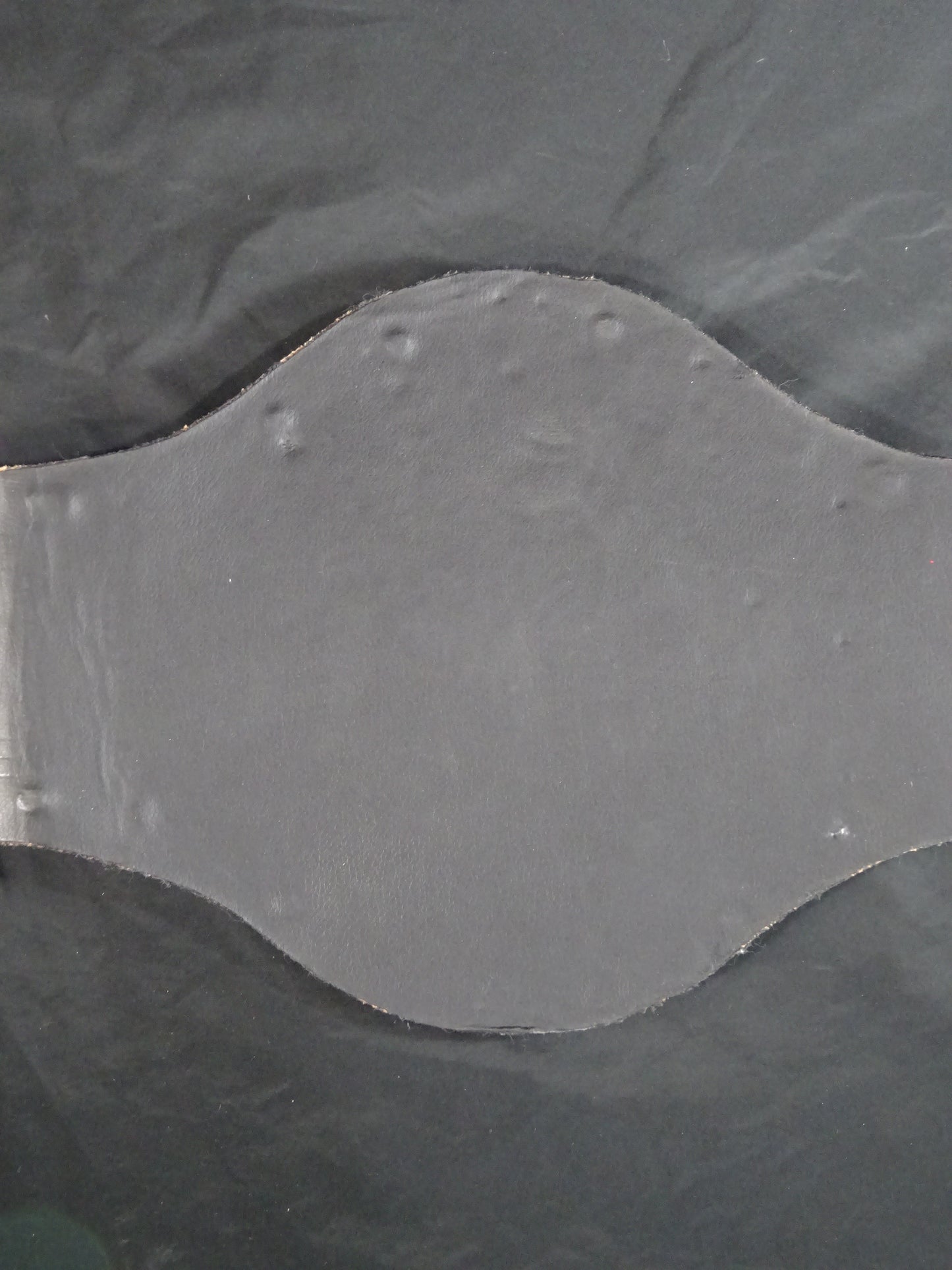 WWFインターナショナルヘビー級王座チャンピオンベルト