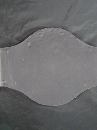 WWFインターナショナルヘビー級王座チャンピオンベルト