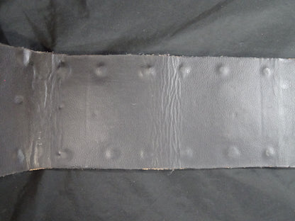 WWFインターナショナルヘビー級王座チャンピオンベルト