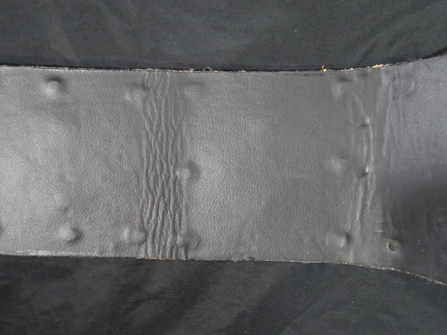 WWFインターナショナルヘビー級王座チャンピオンベルト