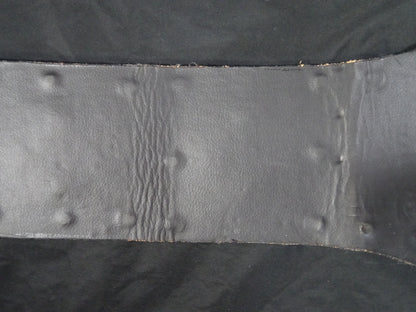 WWFインターナショナルヘビー級王座チャンピオンベルト