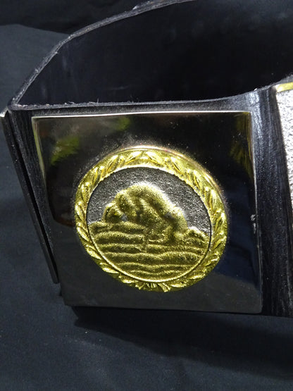 WWFインターナショナルヘビー級王座チャンピオンベルト