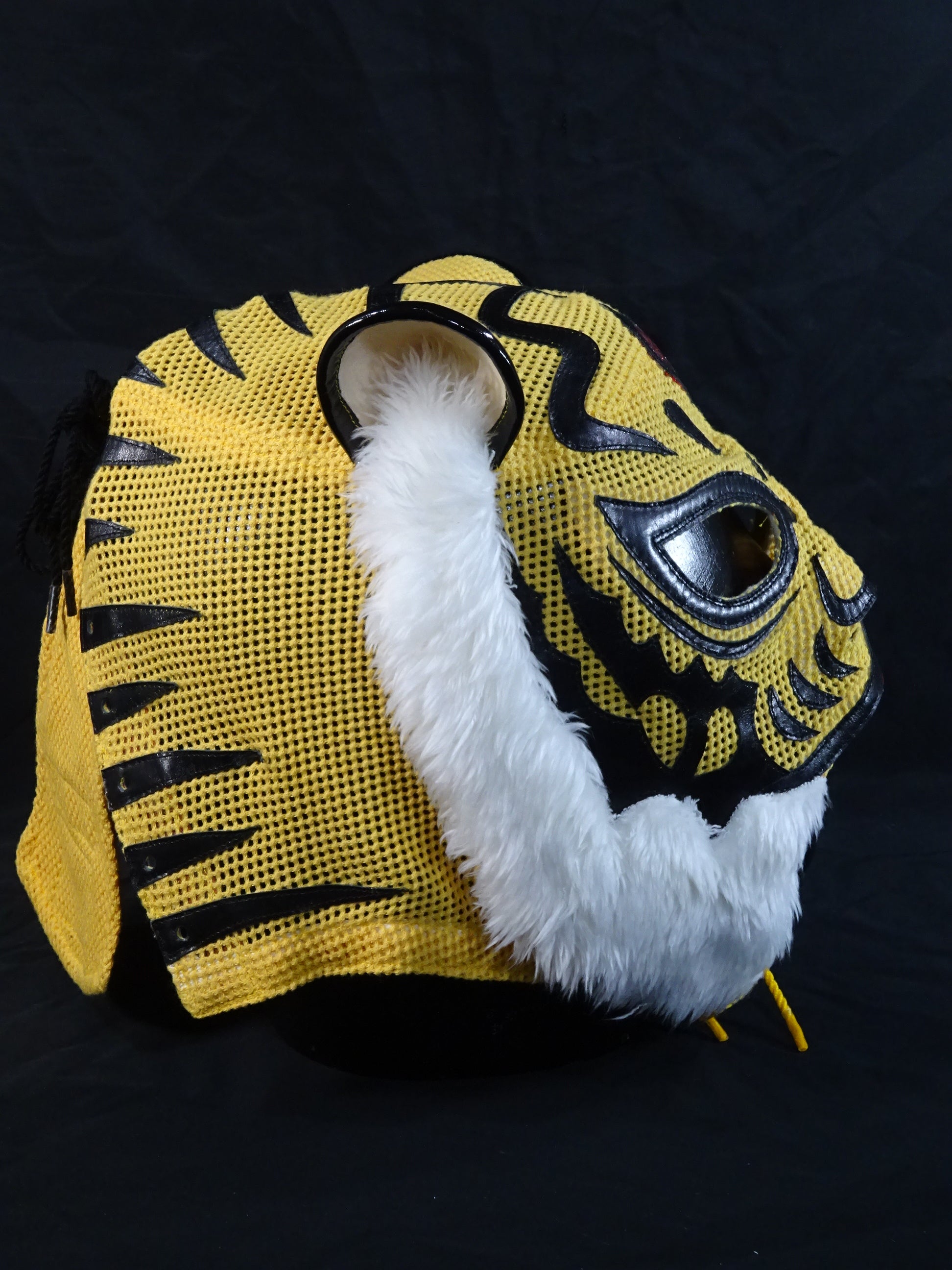The first Tiger Mask – 闘道館