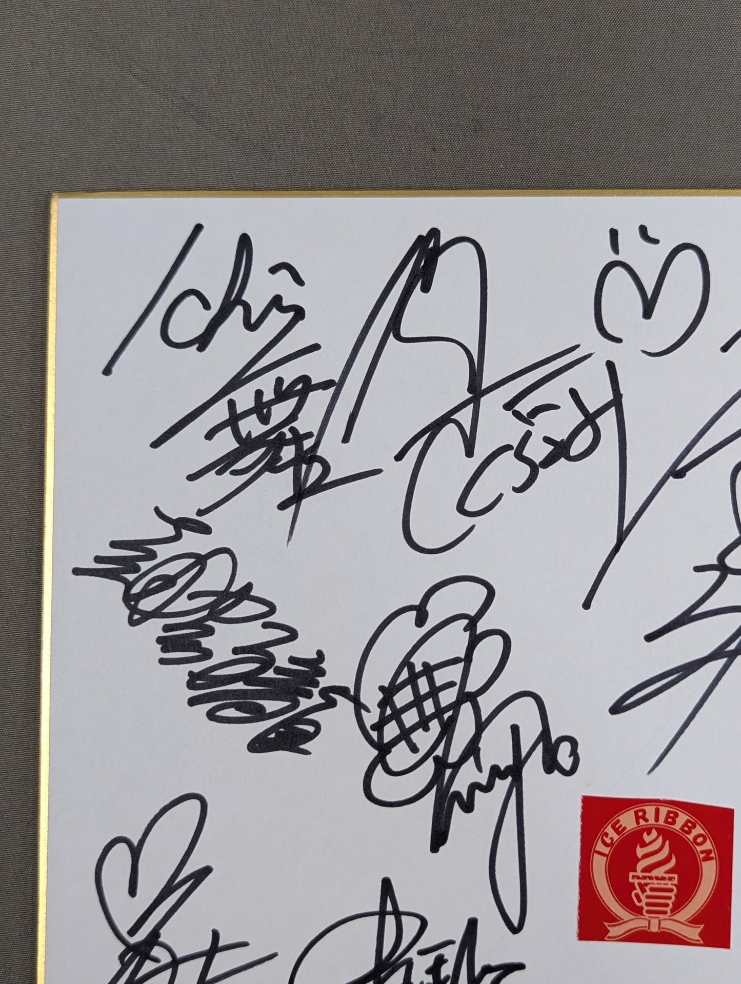 ★アイスリボン★ 2008年1月5日大会 参戦全選手寄せ書き