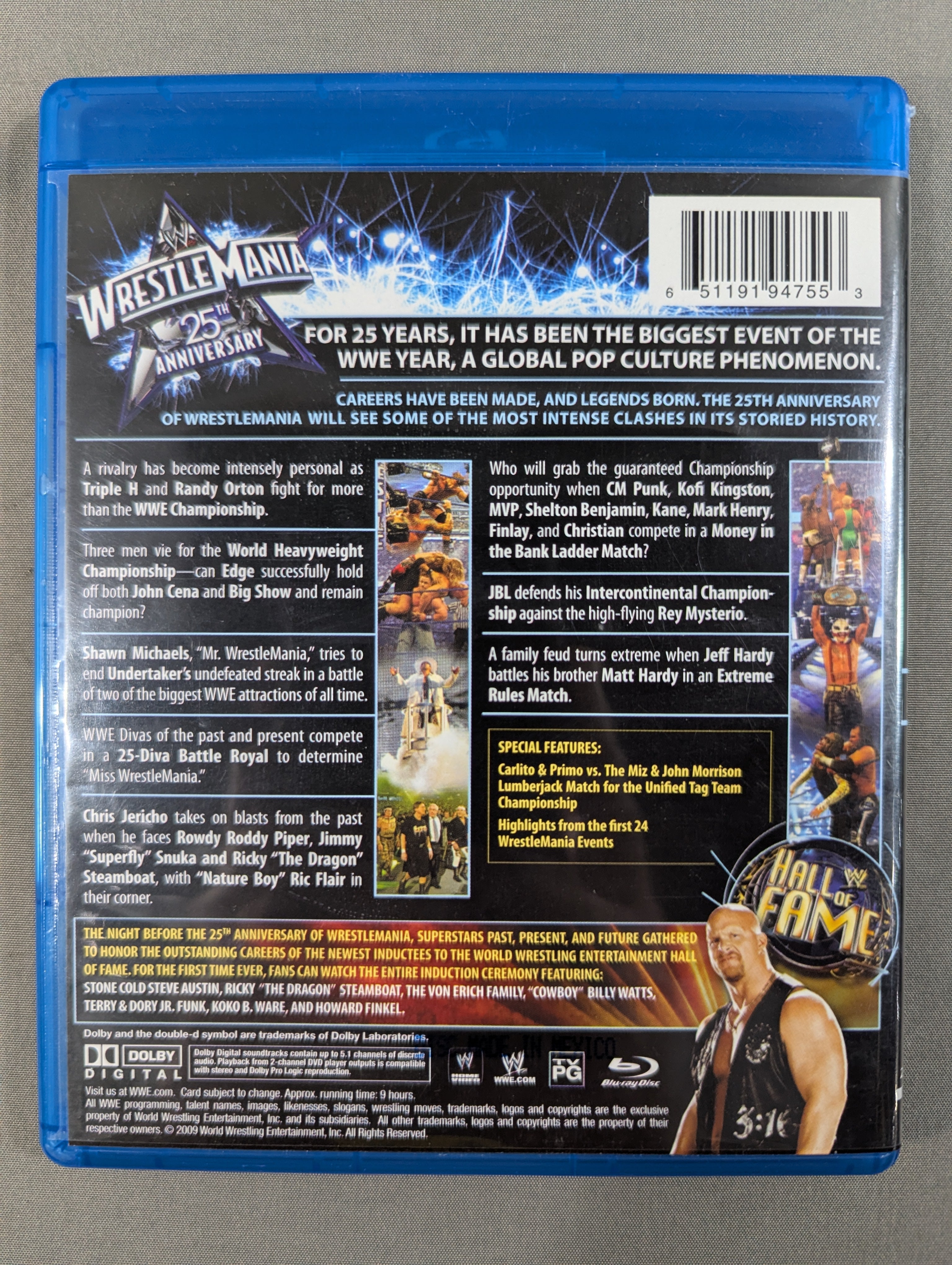 WRESTLE MANIA XXV ☆25TH ANNIVERSARY☆ – 闘道館