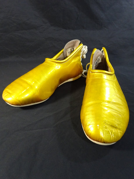 獣神サンダー・ライガー