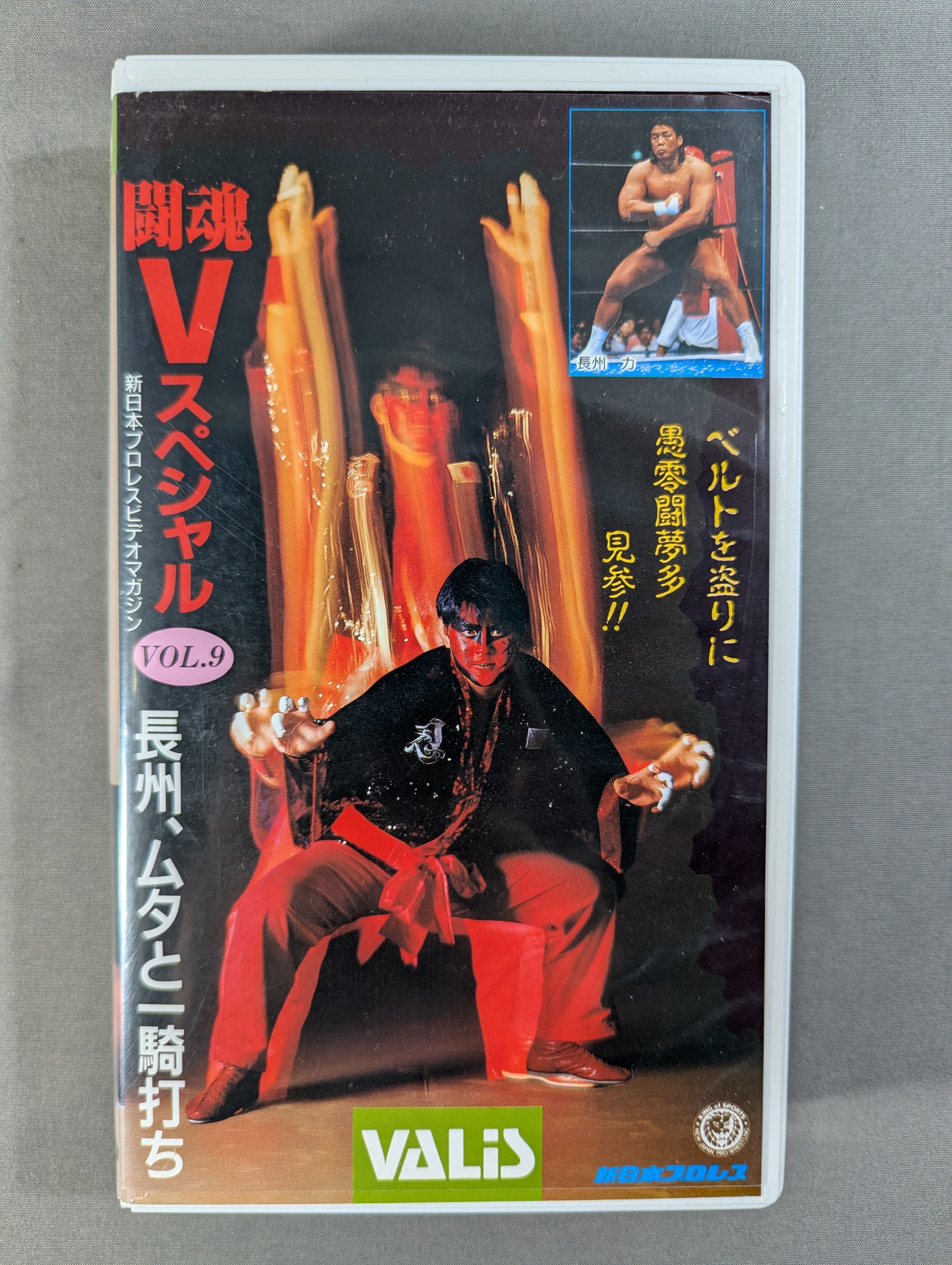 闘魂Vスペシャル Vol.9 – 闘道館