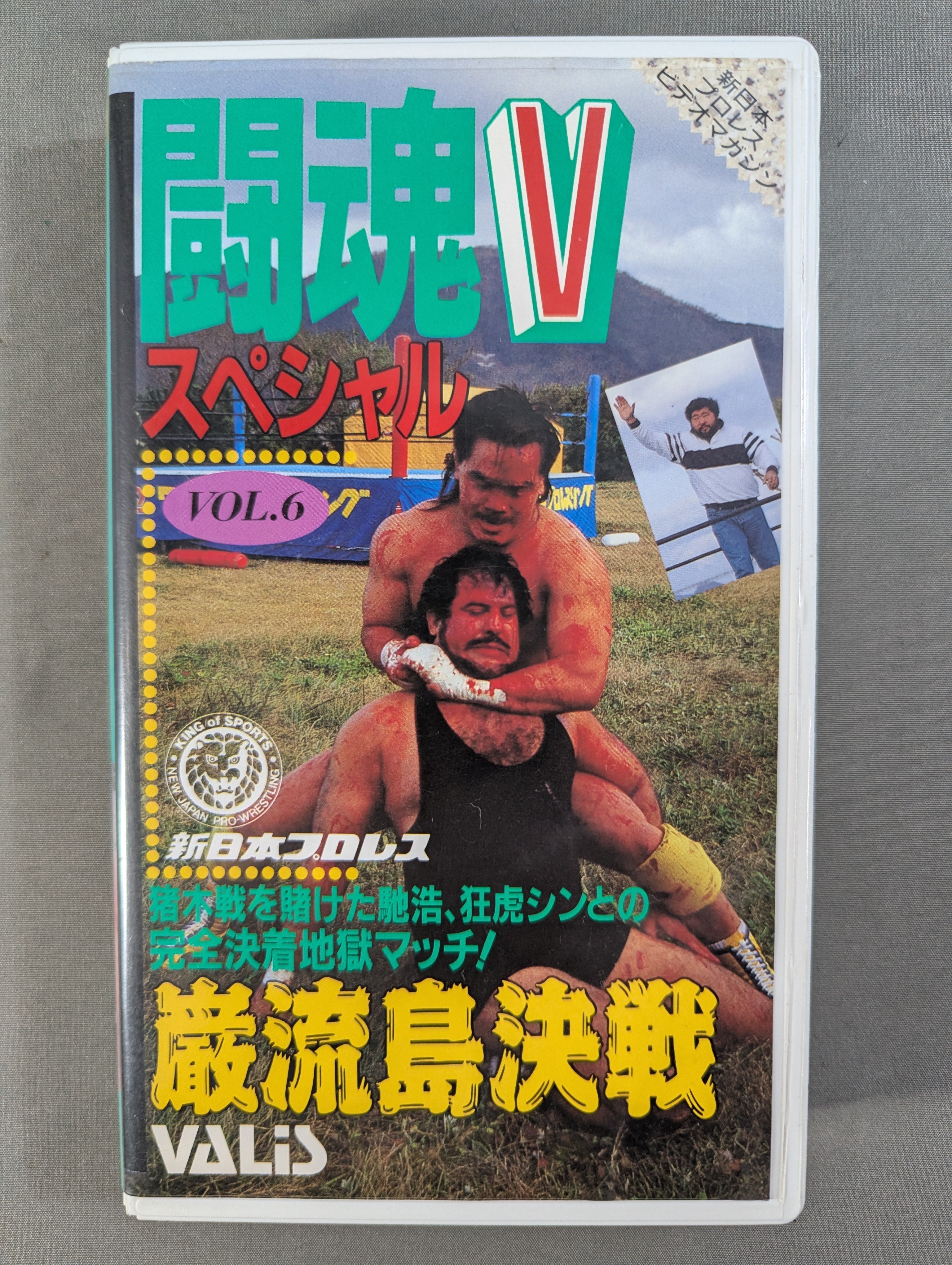 闘魂Vスペシャル Vol.6 ☆馳浩vsタイガー・ジェット・シン 巌流島決戦