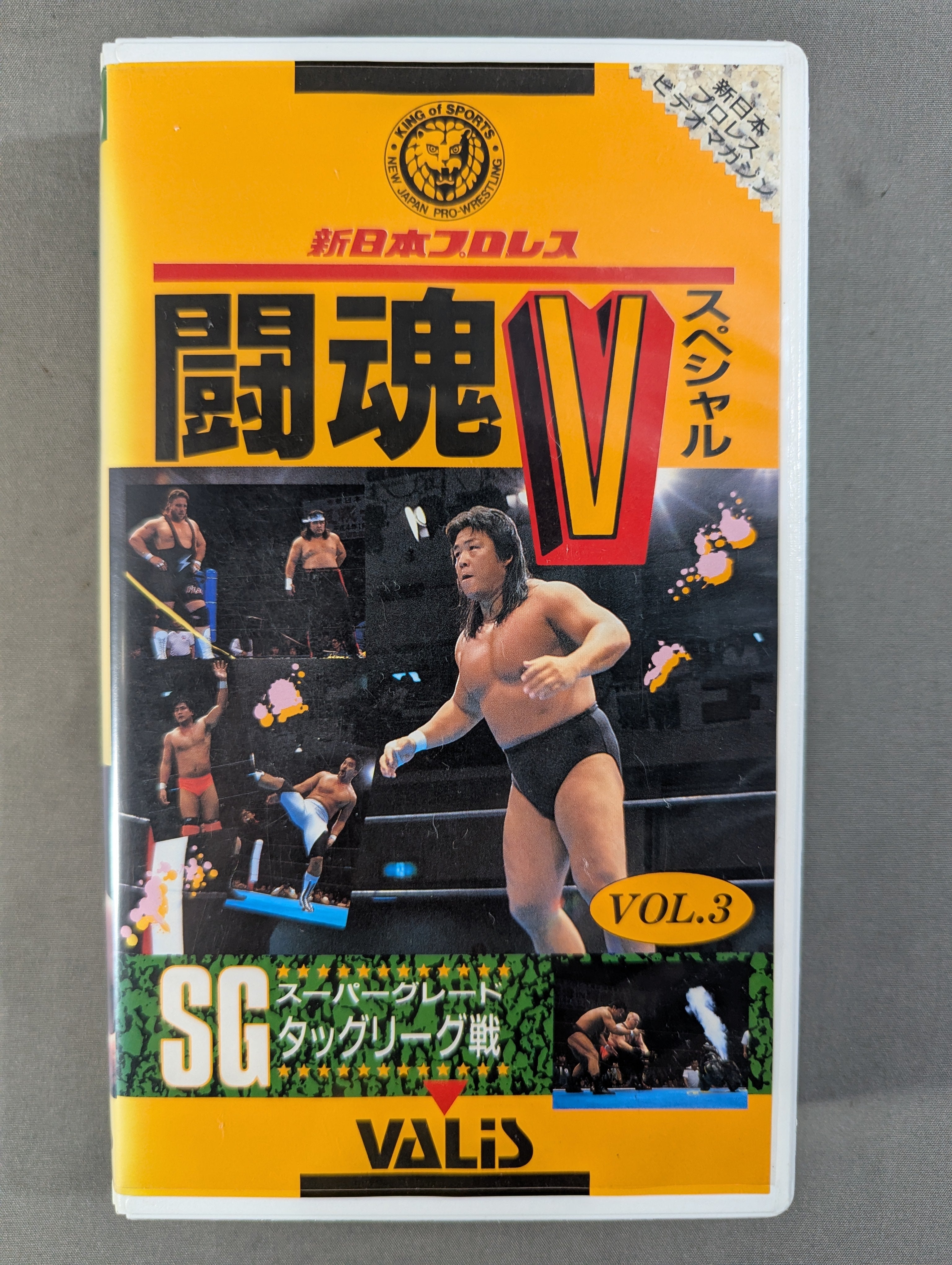 闘魂Vスペシャル Vol.3 – 闘道館