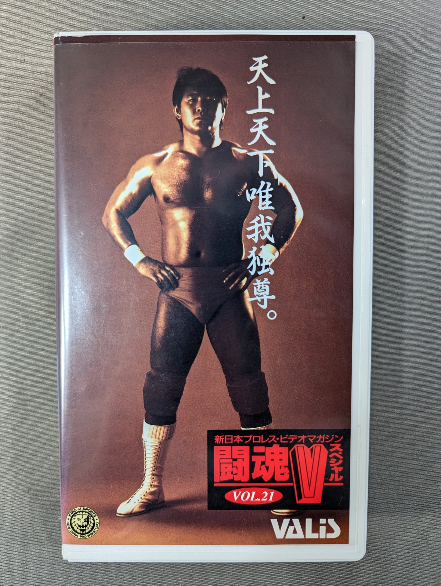 闘魂Vスペシャル Vol.21