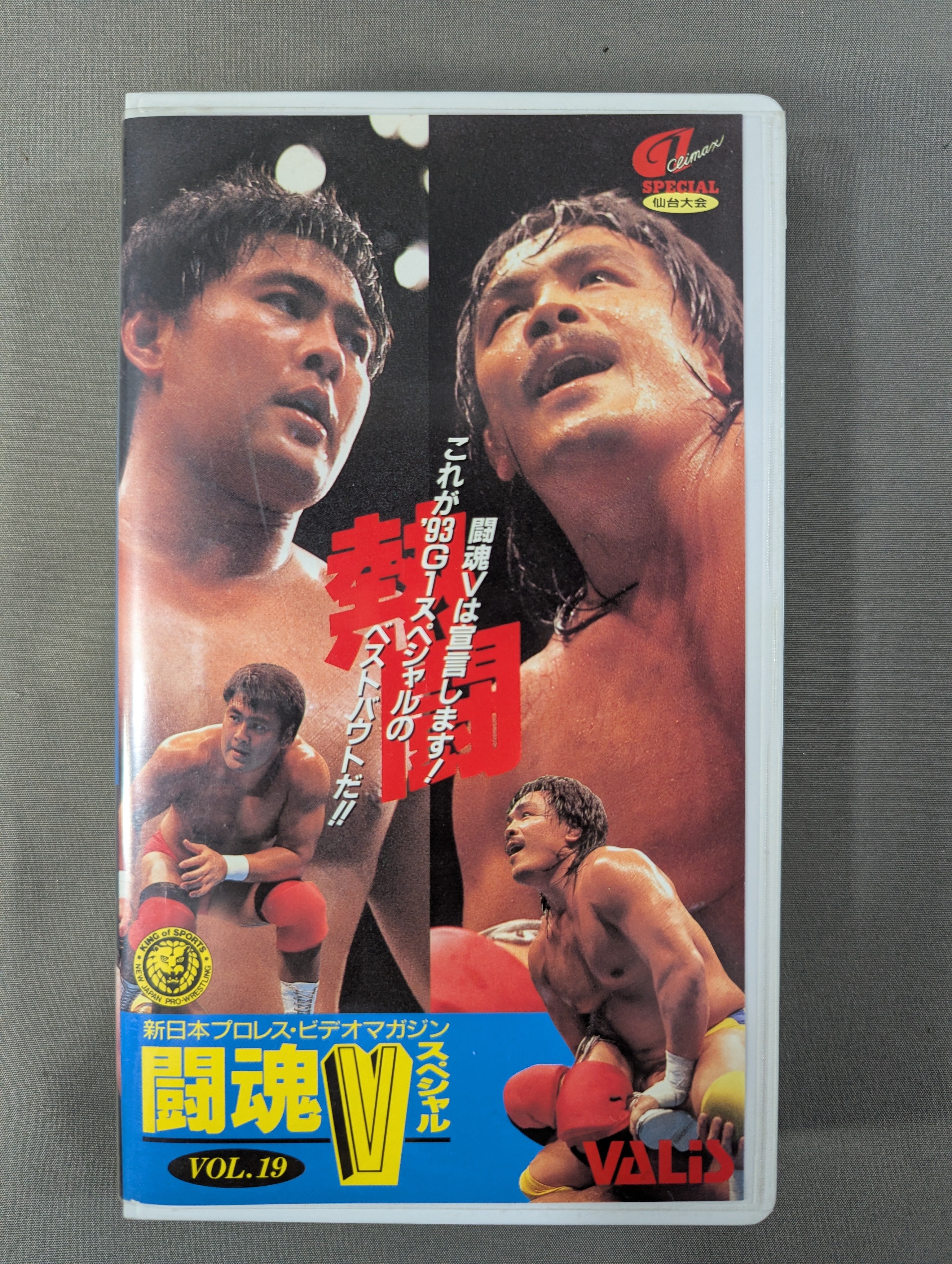 闘魂Vスペシャル Vol.19 – 闘道館